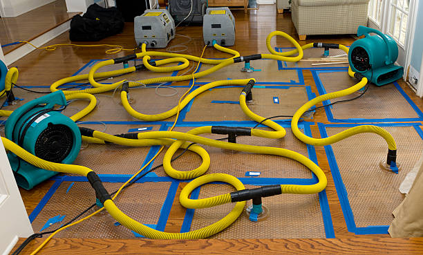 Professional Flood Damage Restoration technician working in Alvo, NE
